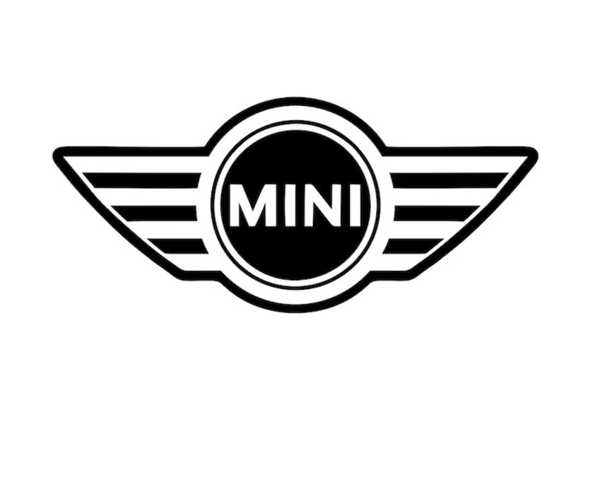 Verificare Istoric BMW/MINI