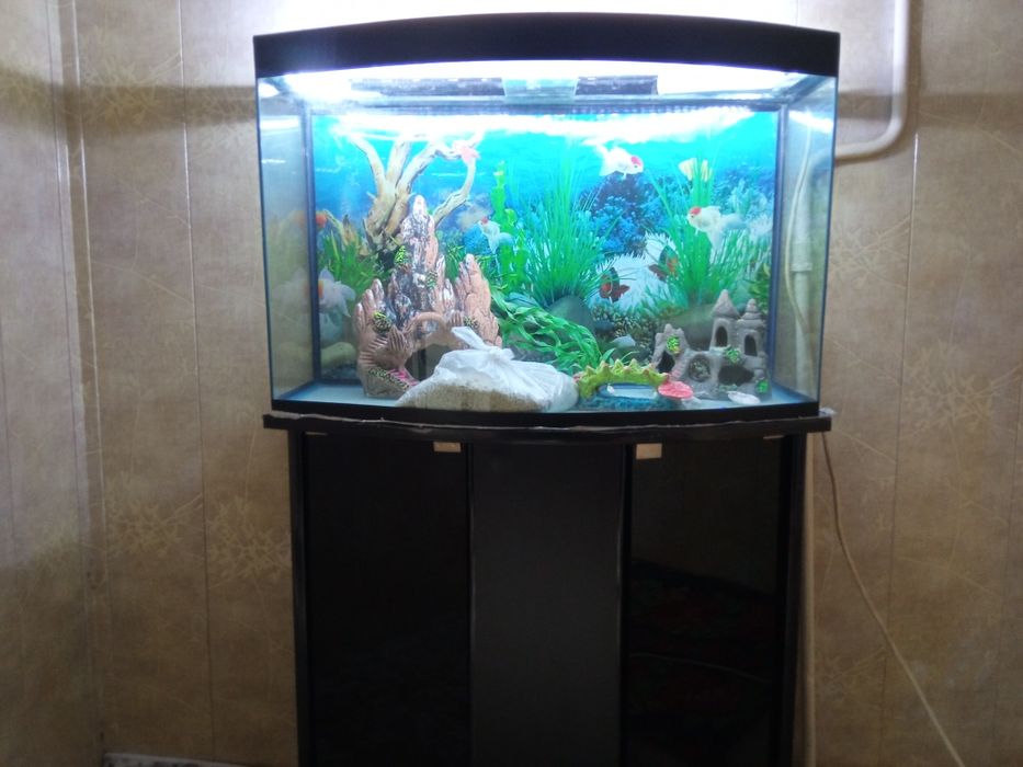 Аквариум 100 литр
