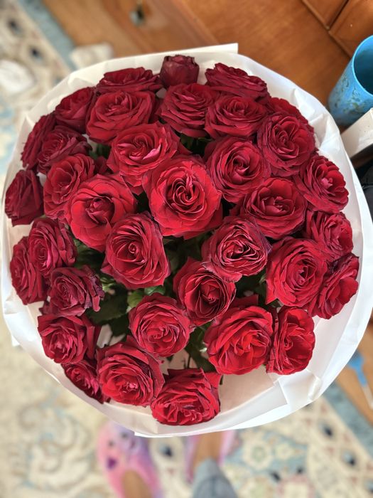 Свежые и красивые розы