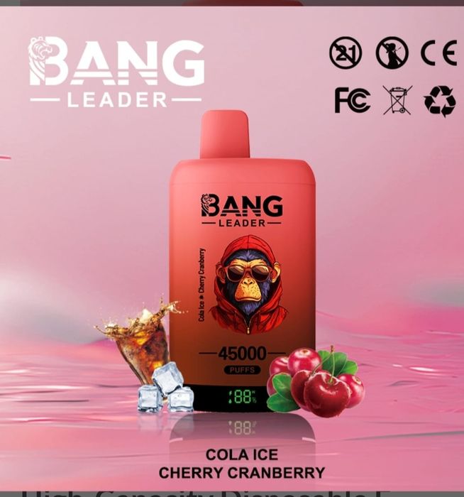 Pachet 2   Bang Leader 45k Puffs Reîncărcabil