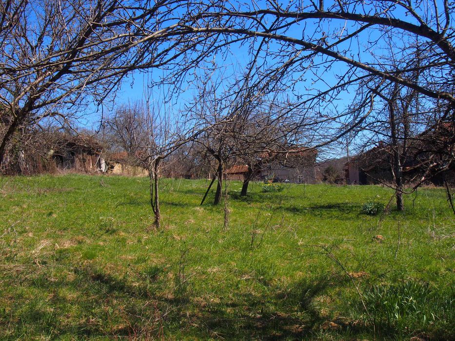 Продава се Парцел в с. Белиш, Област Ловеч - 2608 кв.м за 16 €/кв.м - Снимка #2