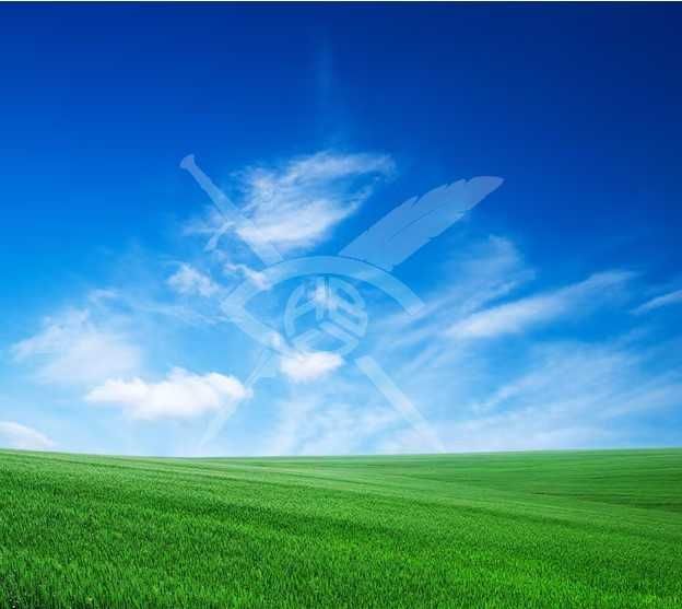 Парцел в Дъскотна 95669