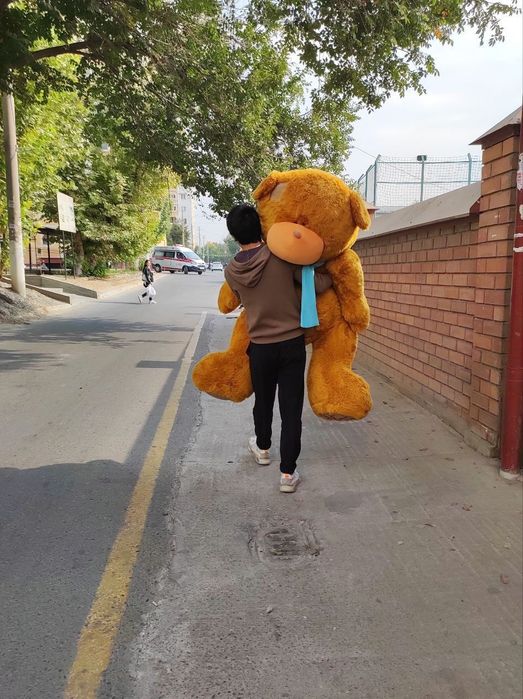 Ayiq oyinchogi Sotiladi