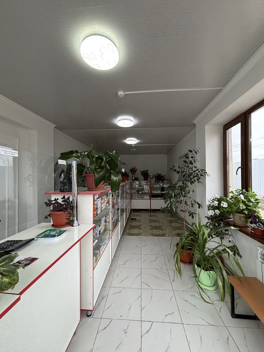 Сдается помещение в аренду