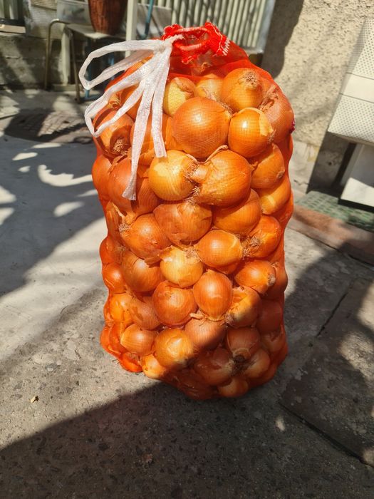 Лук репчатый мешок