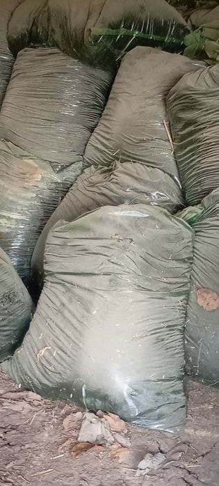 Биогомус biogomus