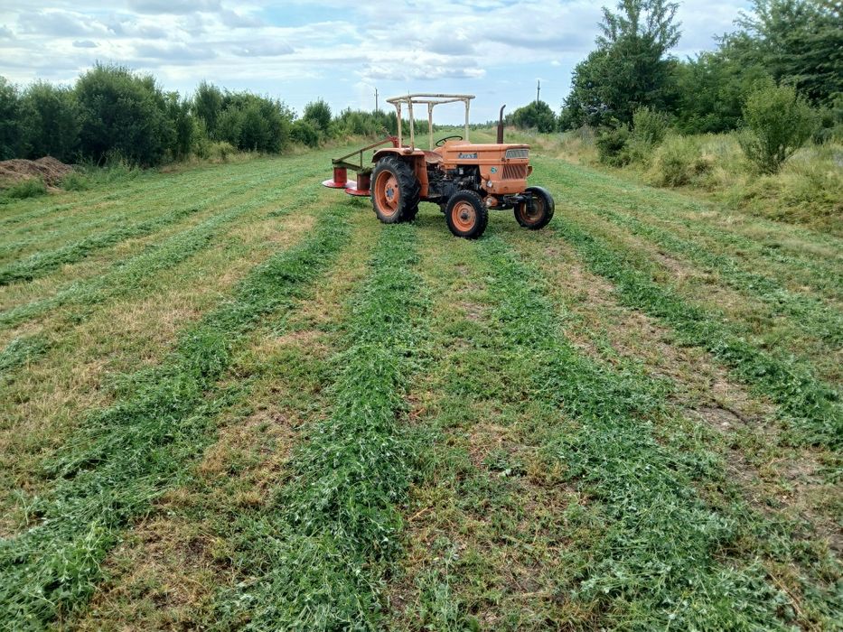 Baloți de lucernă și fân