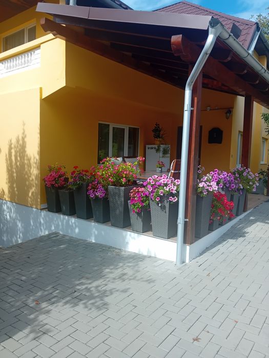 Casa duplex de vanzare