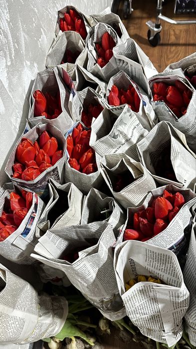 Тюлпаны (голландские) свежие!!!