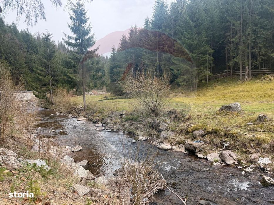 Arieșeni–Strada Fața Cristesei -Teren 4.331 mp cu Peisaj de Poveste