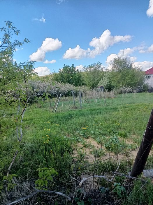 Продам дачу сейсмик 124