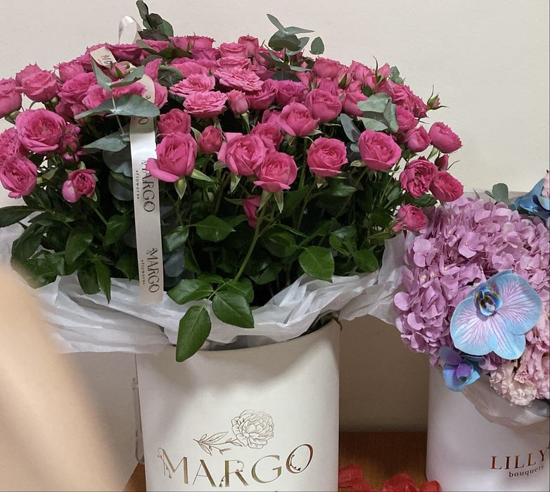 Кустовые розы (Margo flowers)сорт софия