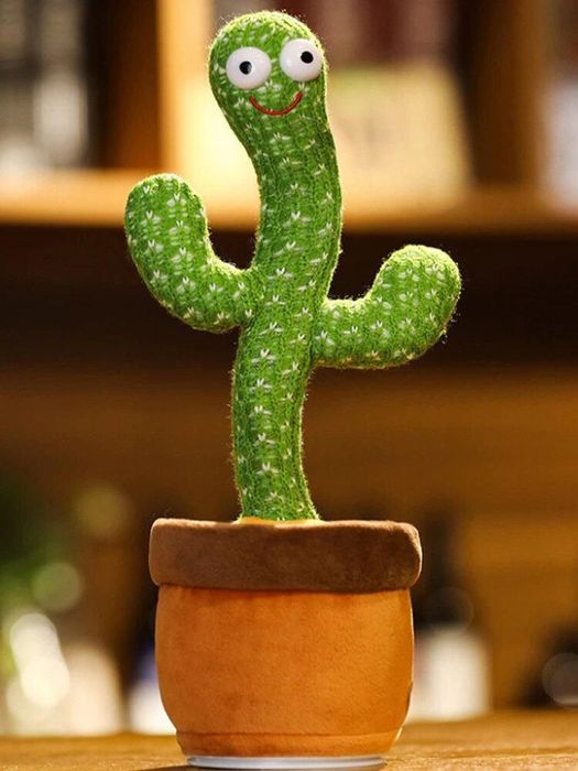 Kaktus gapiradigan katus raqsga tushuvchi kaktus ashula aytuvchi kaktu