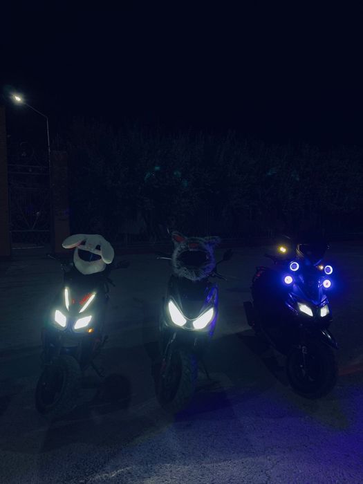 Макси 180 куб Hammer