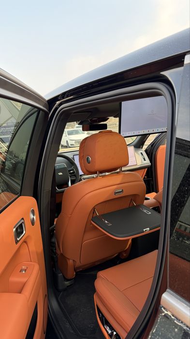 Li 9 Restaling. Yengi pochka