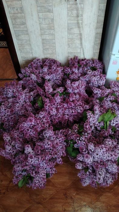 Свежие букет отдам на 3000