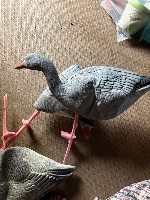 Гусиные профеля разные