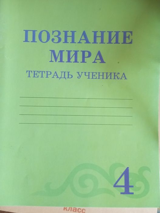 Тетради школьные, 4 класс