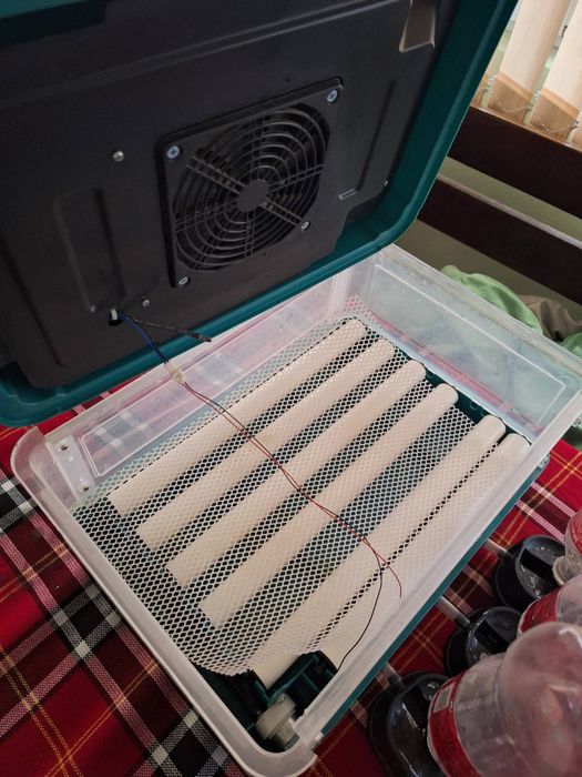 Автоматичен инкубатор