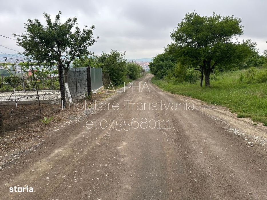 Oportunitate! Teren extravilan Zalau,zona Mall Value Center, 59.20 ari