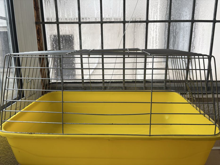 Клетка за морско свинче