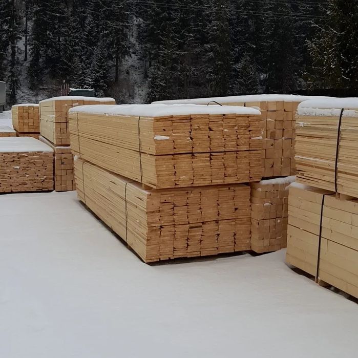 Cherestea Rășinoase