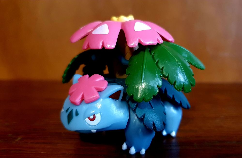 Pokemon Ivysaut & Mega Venusaur