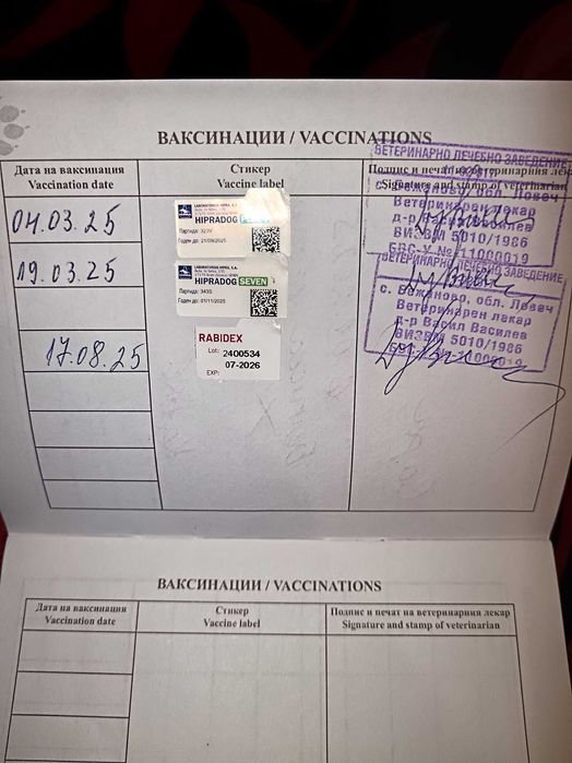 Белгийска овчарка