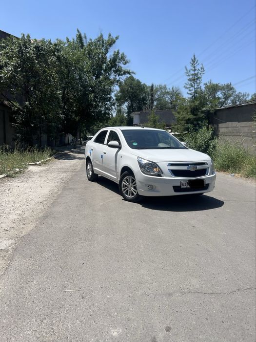 2024-yil kraska tozza 52.000 min yurgan