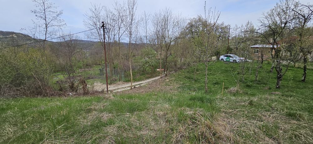 Vand teren Provita de Sus
