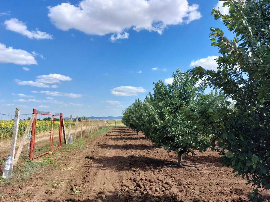 Продава се Земеделски имот в с. Завой, Област Ямбол -  кв.м за 1700 €/дка - Снимка #2