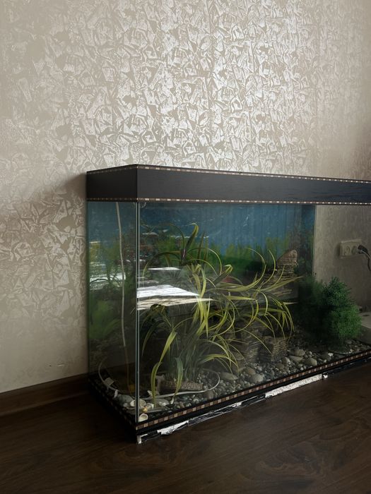 Аквариум 95x62x30