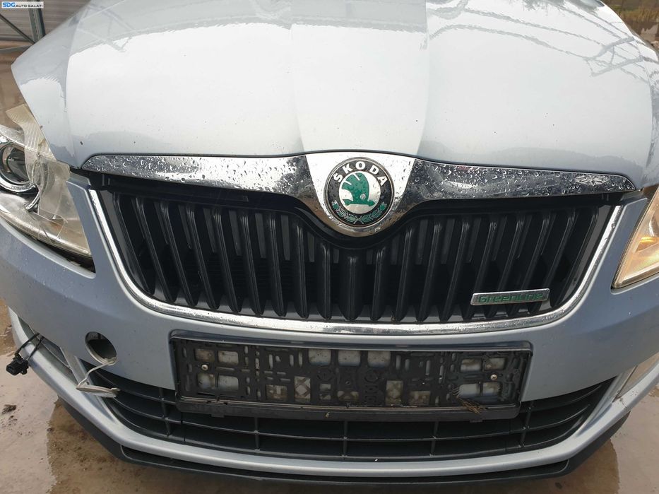 Grila Radiator de pe Bara Spoiler Fata Skoda Fabia 2 FL Facelift 2010 - 2014 [K8010]