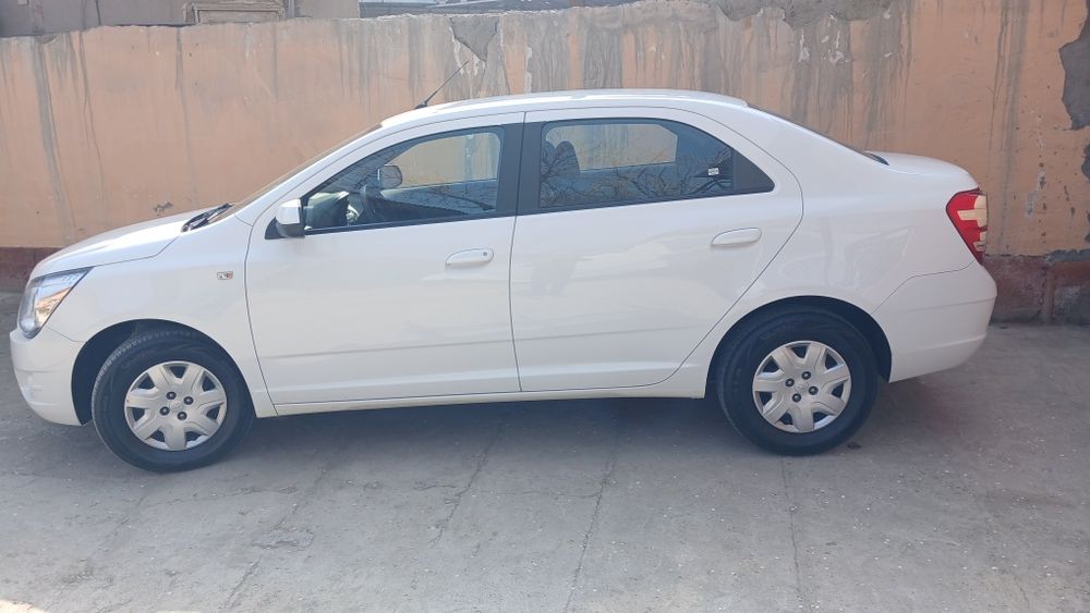 Маторларга кулич тегмаган