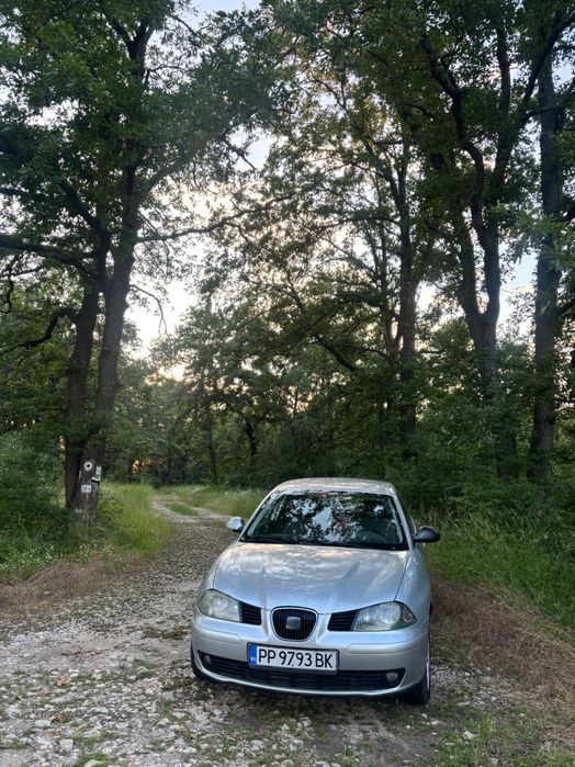 Seat ibiza 1.9 tdi,diesel,101 к.с 2004 г