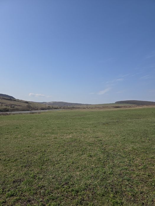 Teren 2.5Ha Hereclean