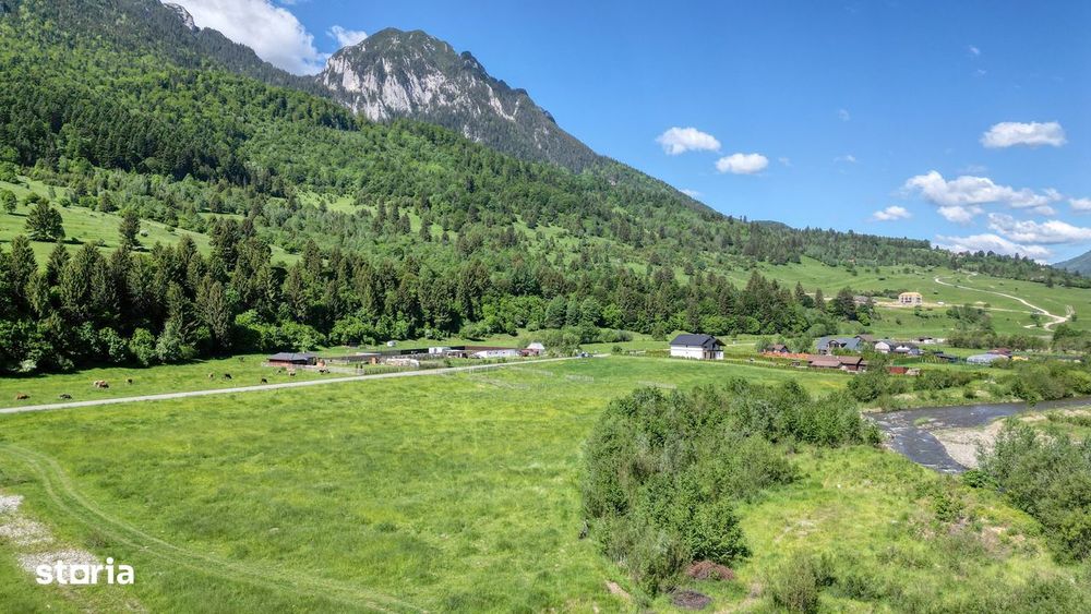 Teren intravilan In Zarnesti zona Plaiul Foii, asfalt si priveliste