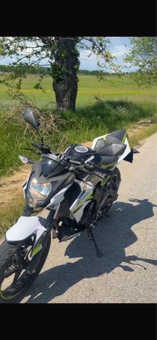Kawasaki Z125 an 2022