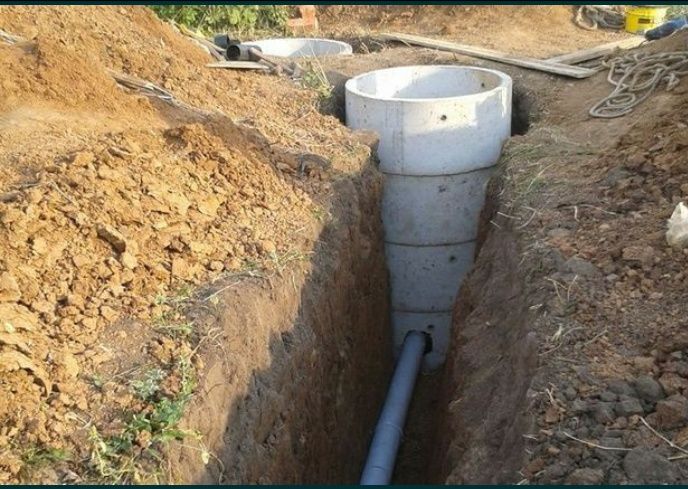 Arzon narxlarda qilamz urachi oʻrachi ura boshlandi