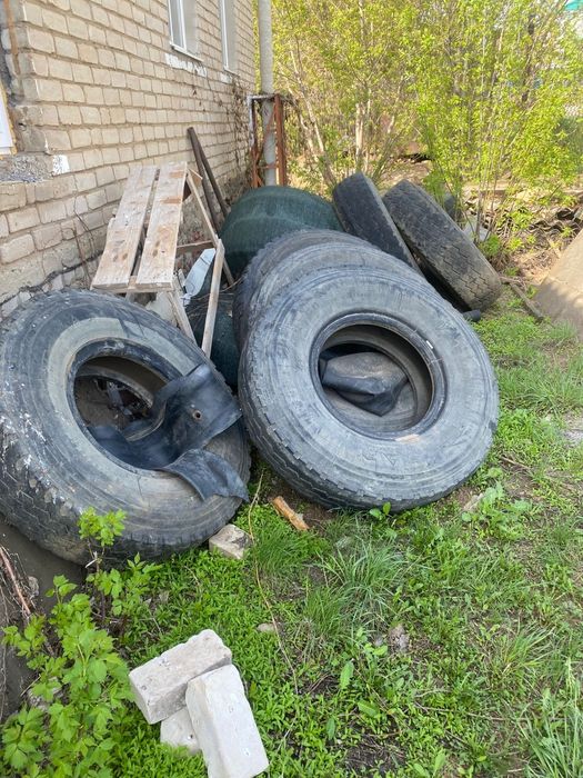 Продам покрышки на Шахман