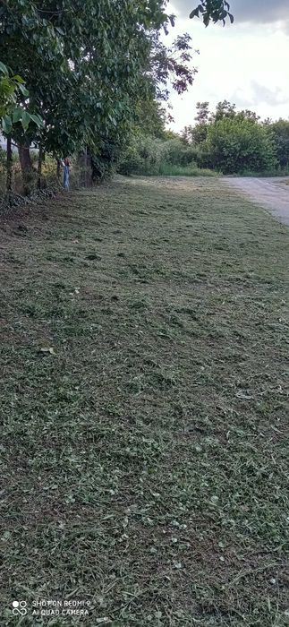 Косене  на трева и други градинарски  услуги