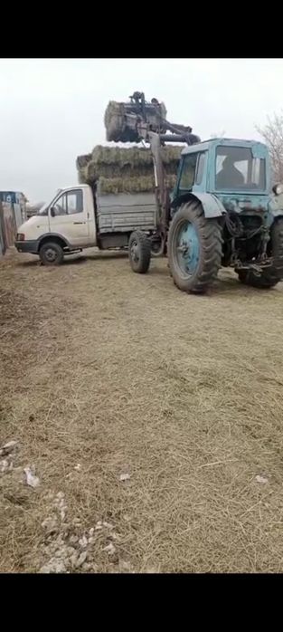 Продам сено тюк  !