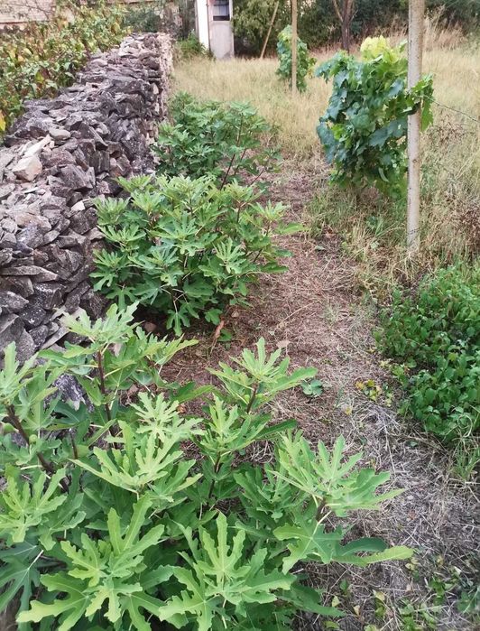 Продава се Къща в с. Куцина, Област Велико Търново - 105 кв.м за 220 €/кв.м - Снимка #7