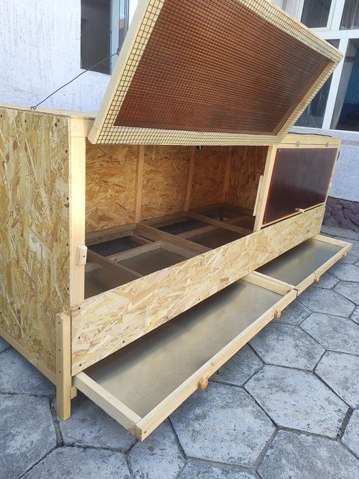 Брудер для цыплят