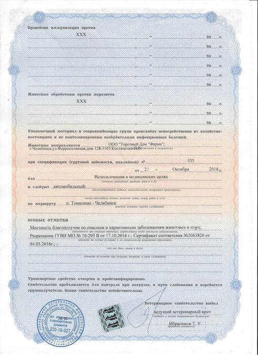 Лечение медицинскими пиявками (гирудотерапия)