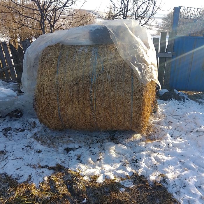 Vând Baloți Lucernă Mici și Mari și 2 Stoguri de Lucernă