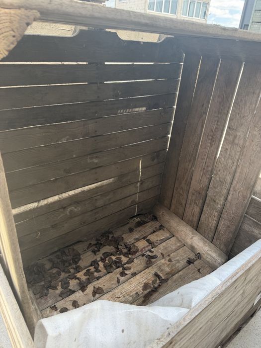 Boxpaleti 110x120 stqre buna