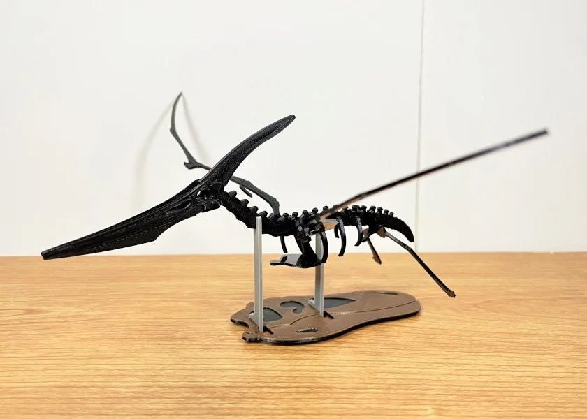 Парк скелетов диназавров