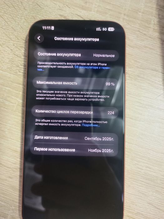 17 pro max 256gb