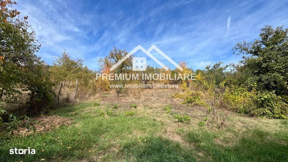 Casa si teren de vanzare in Targu Ocna